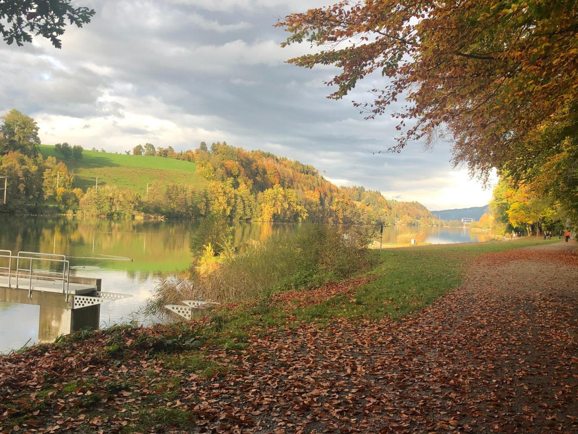 Charming Studio Near Rotsee Lucerne Kitchen/Wifi/Wasching Machine Eksteriør bilde