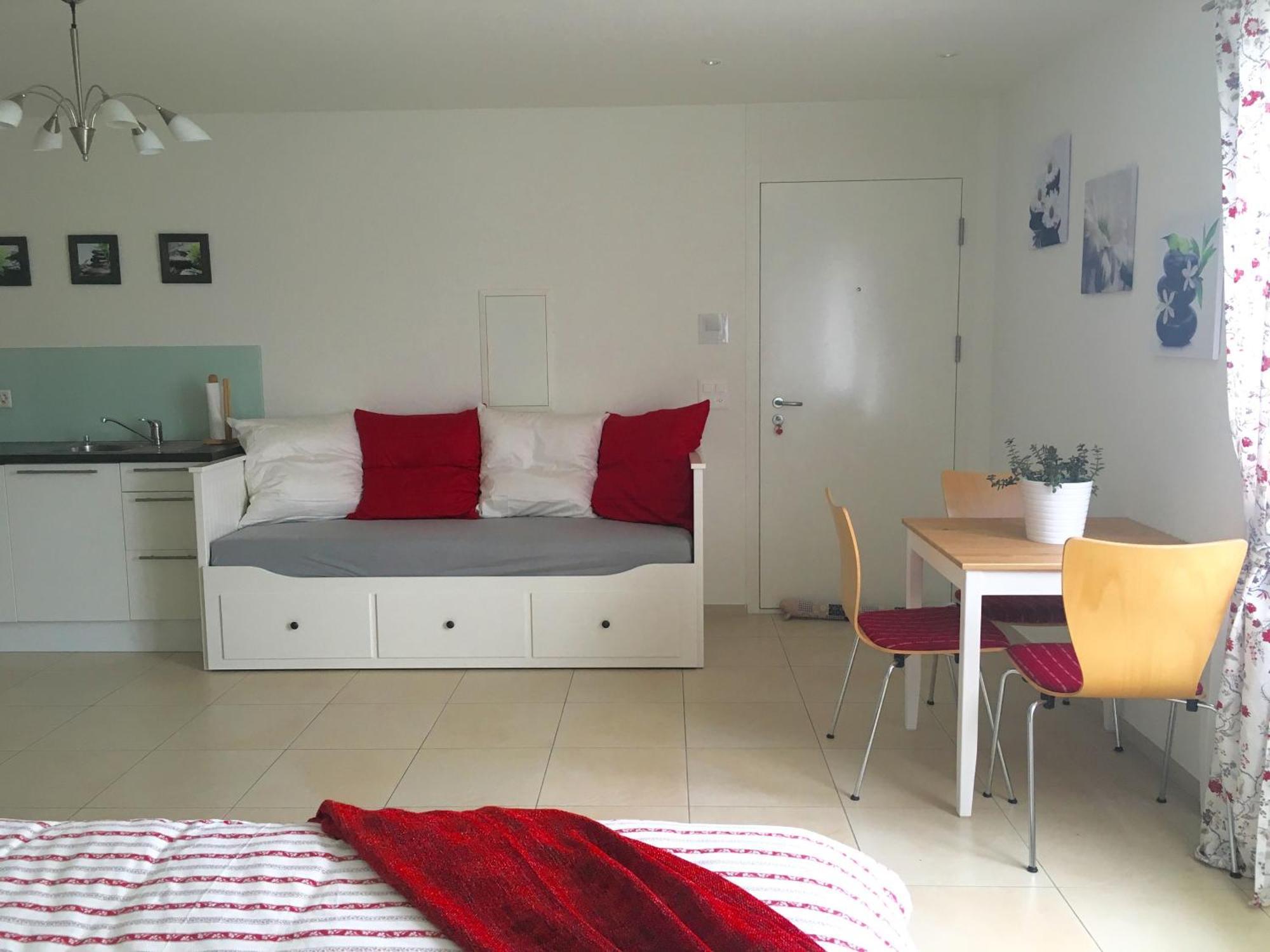 Charming Studio Near Rotsee Lucerne Kitchen/Wifi/Wasching Machine Eksteriør bilde