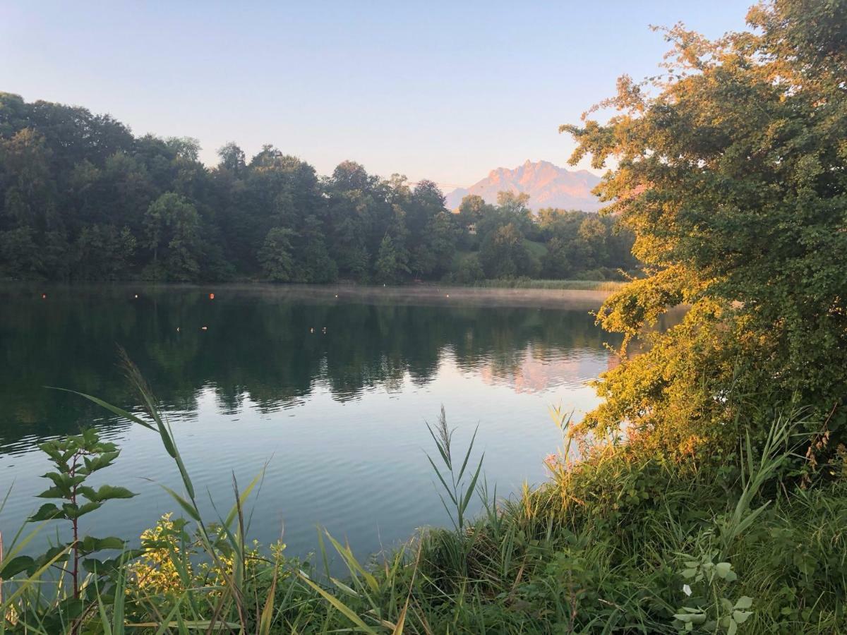 Charming Studio Near Rotsee Lucerne Kitchen/Wifi/Wasching Machine Eksteriør bilde